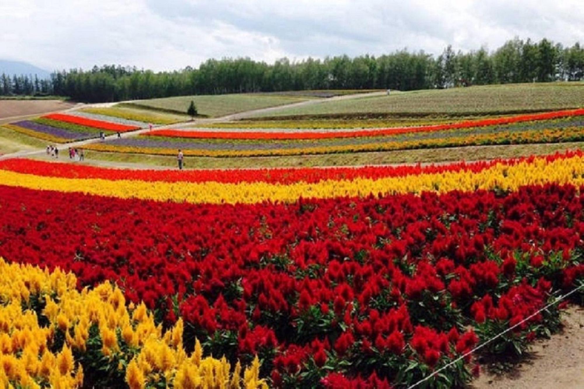 Ark City Asahikawa - Vacation STAY 8531 Bagian luar foto
